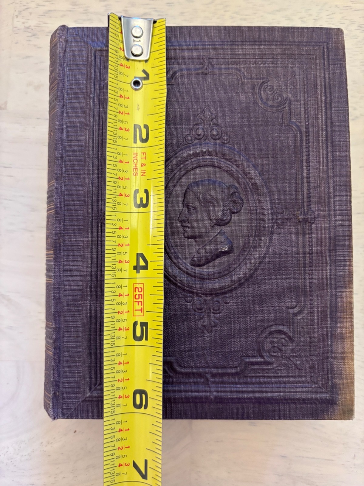Antique German Book Ottilie Wildermuth Werke 1862 Victorian Embossed Cameo HC