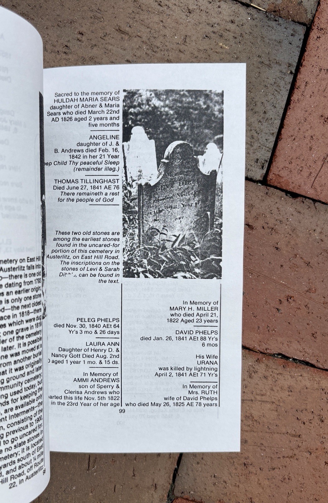 1973 Old Tombstones & Unusual Cemeteries in Columbia County New York NY Epitaphs