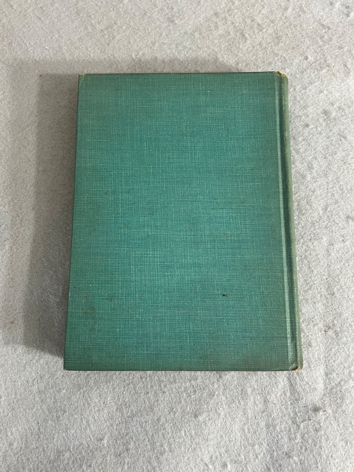 Antique New York Book NY Walk Book New York City Hudson Long Island w/Maps 1936