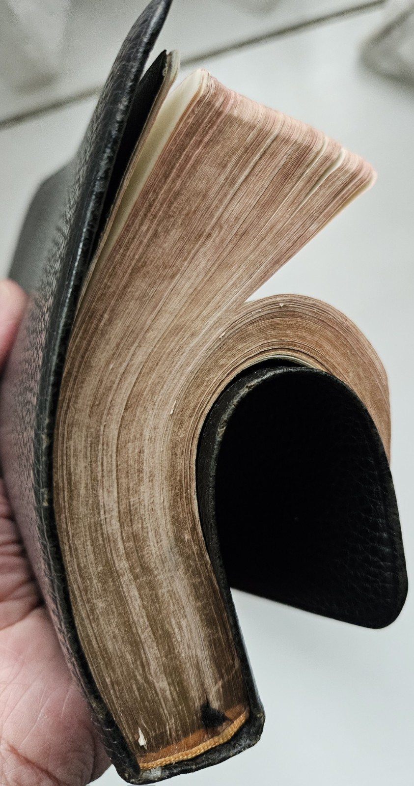 1945 Scofield Reference KJV Bible Marrakesh Persian Leather Lined Vintage,Oxford