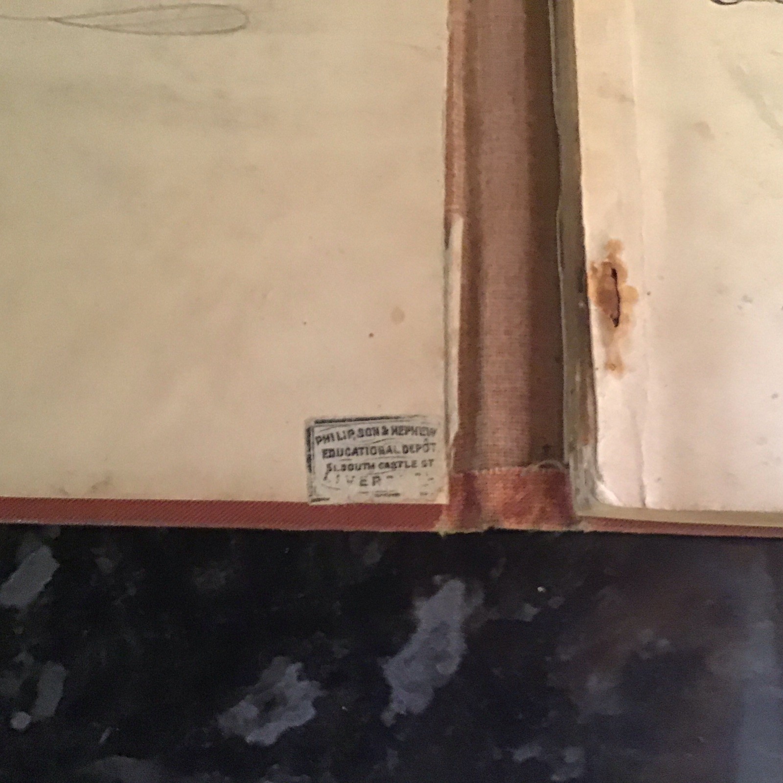 Antique Books: Polly’s Victory And Only A Bunch Of Cherries