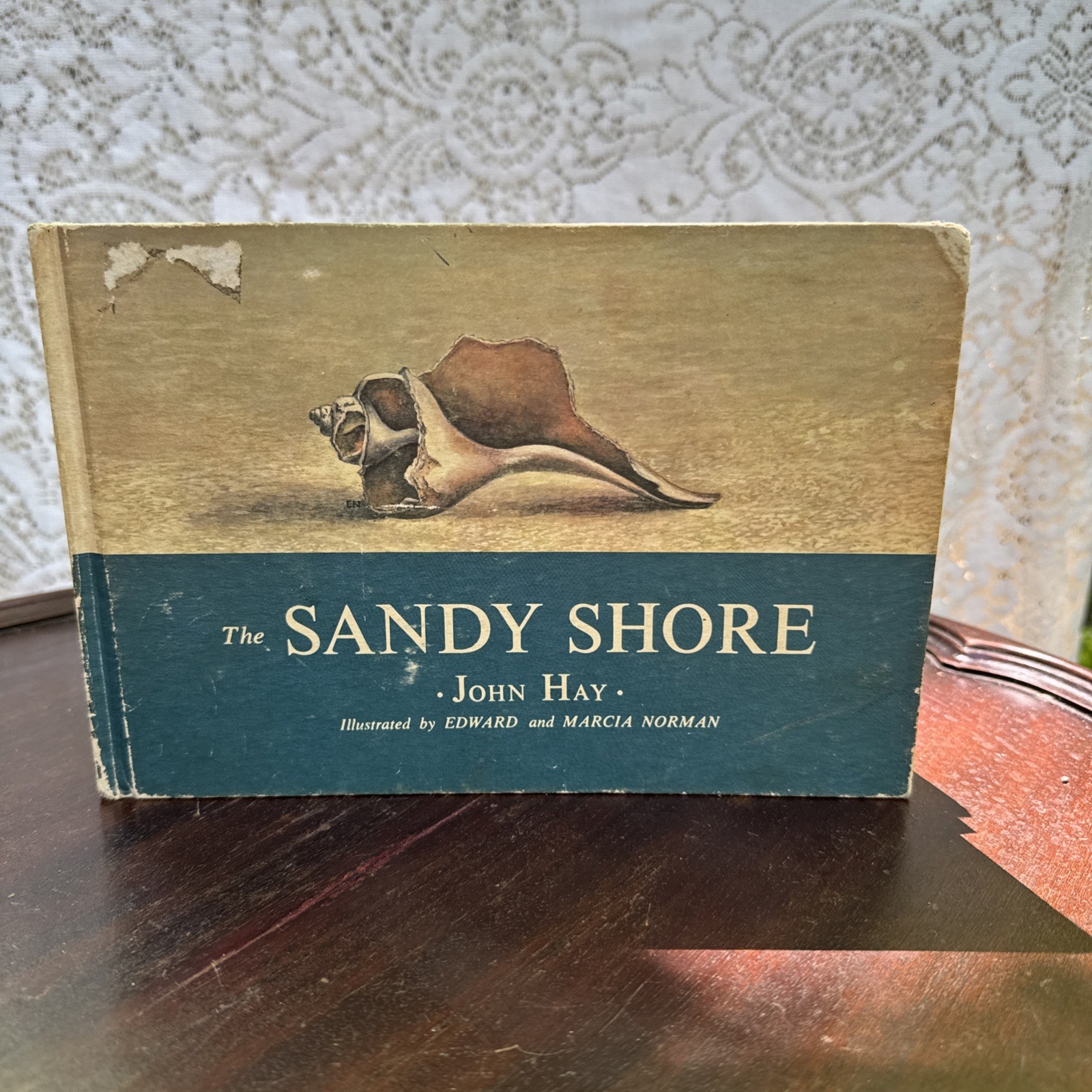 John Hay THE SANDY SHORE 1st Ed 1969 Edward Marcia Norman Illus DJ Nature