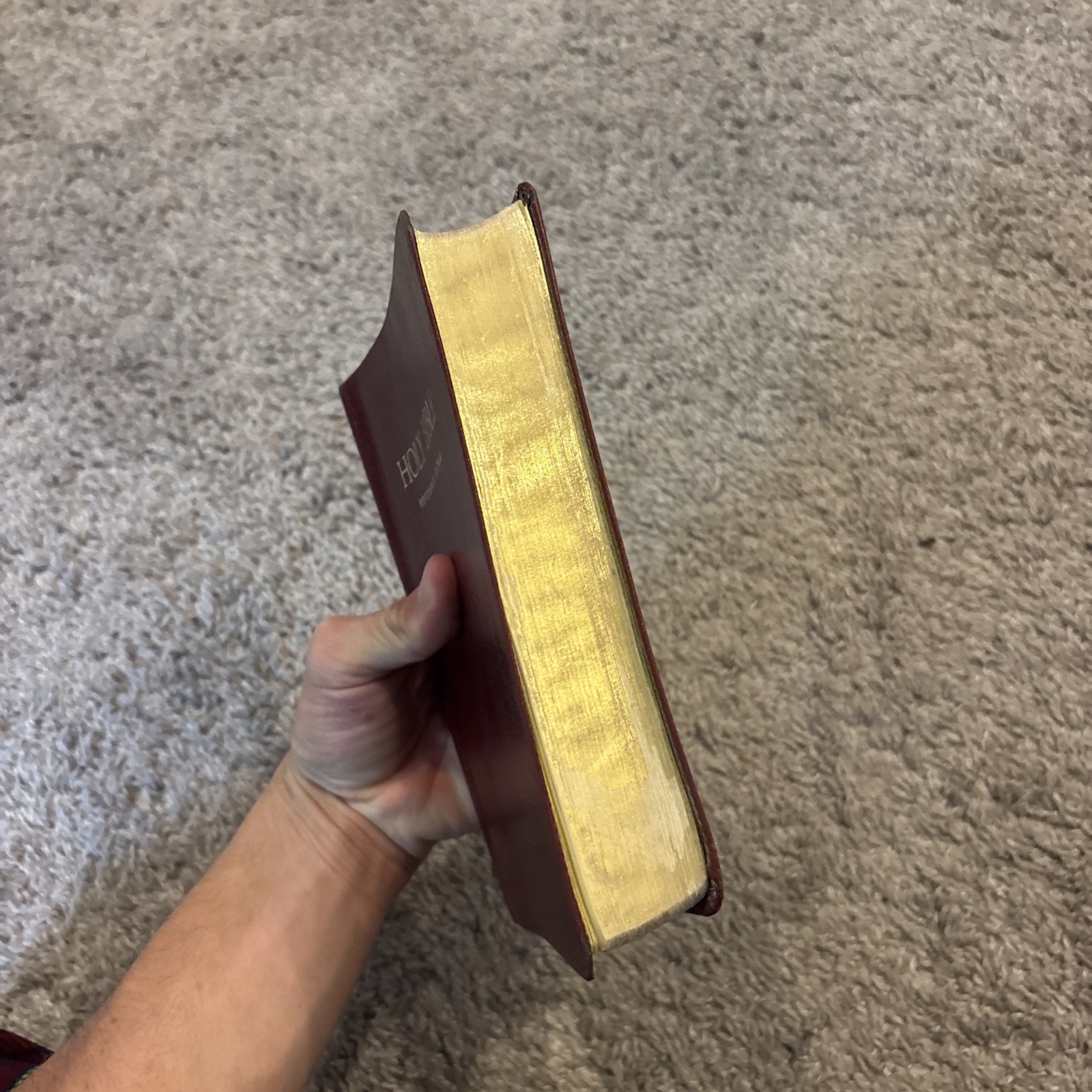 1972 Genuine Leather Holy Bible Reference Edition 485BG Nelson KJV King James