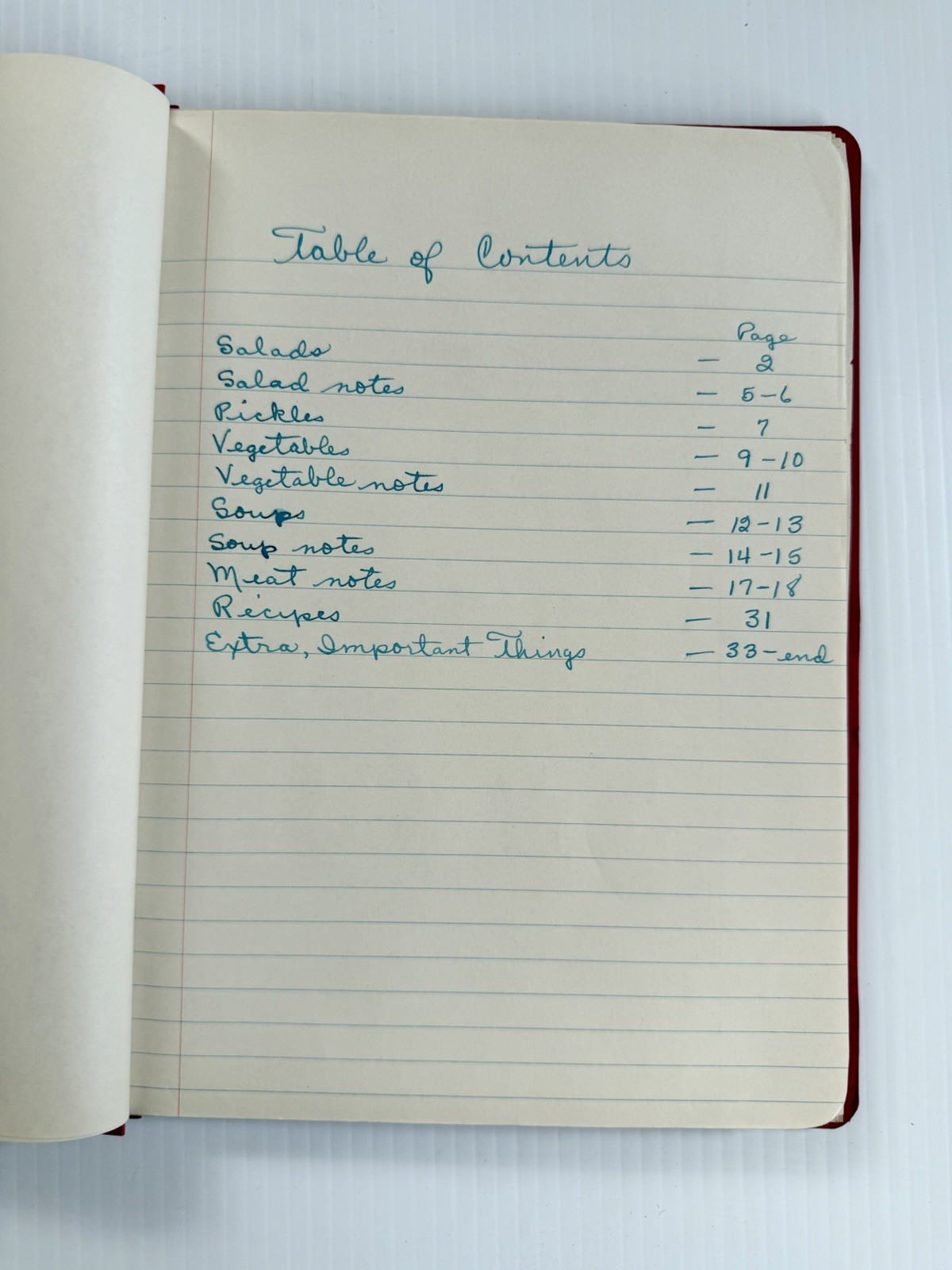 Vintage 1954-55 Home Economics Binder With Recipes & Notes Hand Written Cookbook