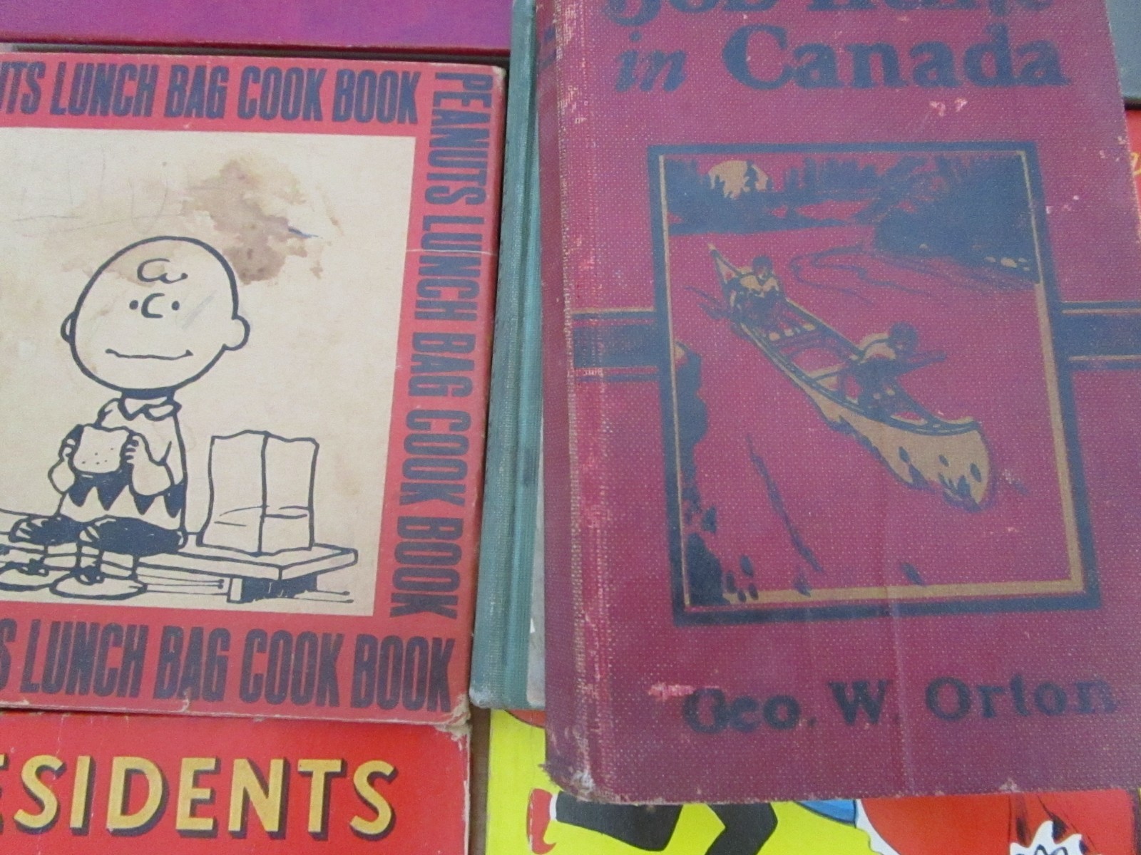 Collection of Vintage Books For Children and Young Adults.