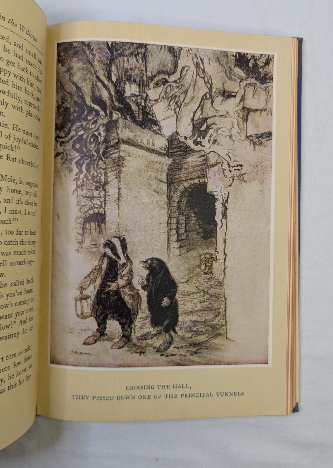 Vintage Wind in the Willows Kenneth Grahame Arthur Rackham Heritage Press 1940s