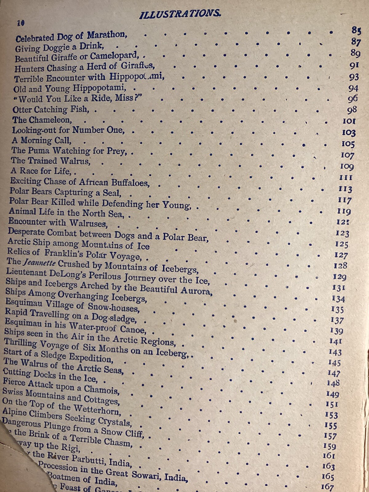 Vintage The King Of The Circus 1902 Book Unknown Publisher And Author 224 Pages