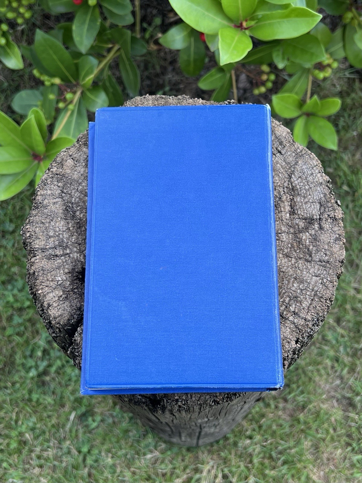 THE WAR IN THE AIR by H.G.Wells – ANTIQUE HARDBACK:1920s