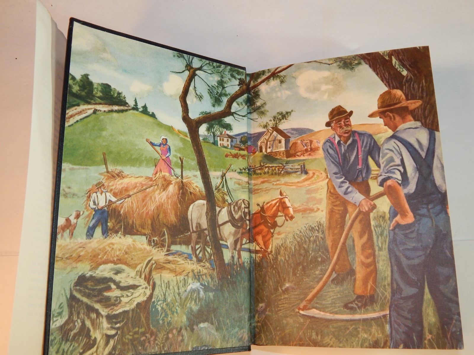 The Fields of Home by 1953 Ralph Moody Hardback Dustcover