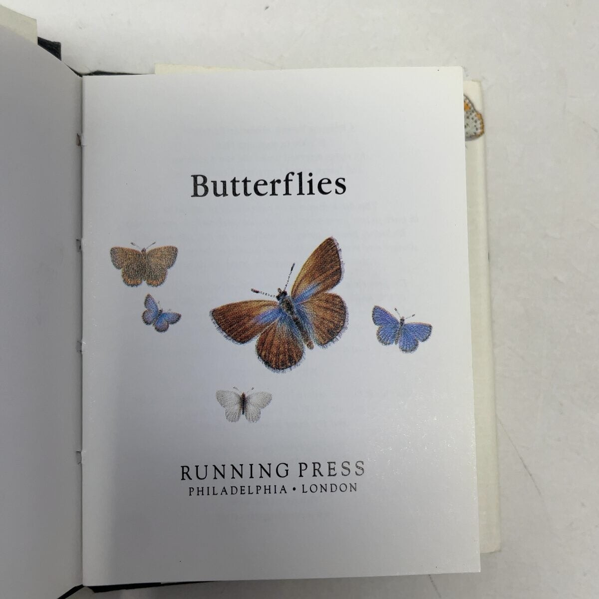 Butterflies by Running Press HC First Edition Like New 2000
