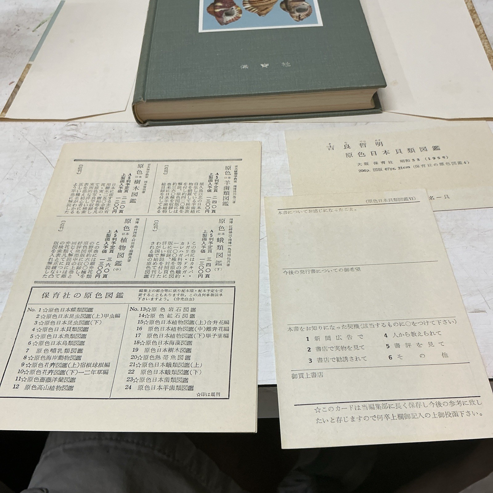 1955 Illustrated Color Guide To Japanese Shells With Slip Case/DJ In Japanese