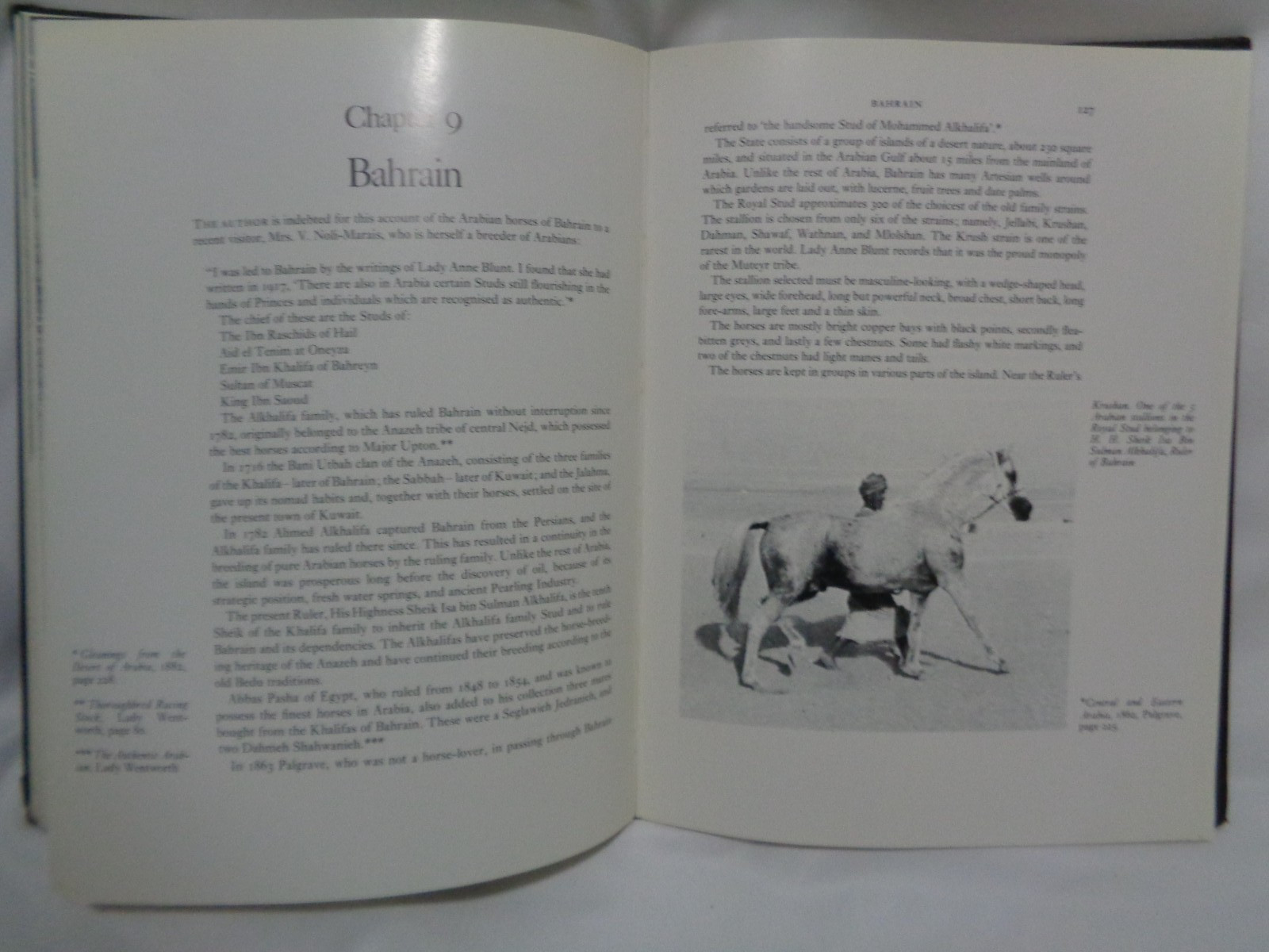 Arabian Exodus Horse Breed History Greeley Original Dustcover