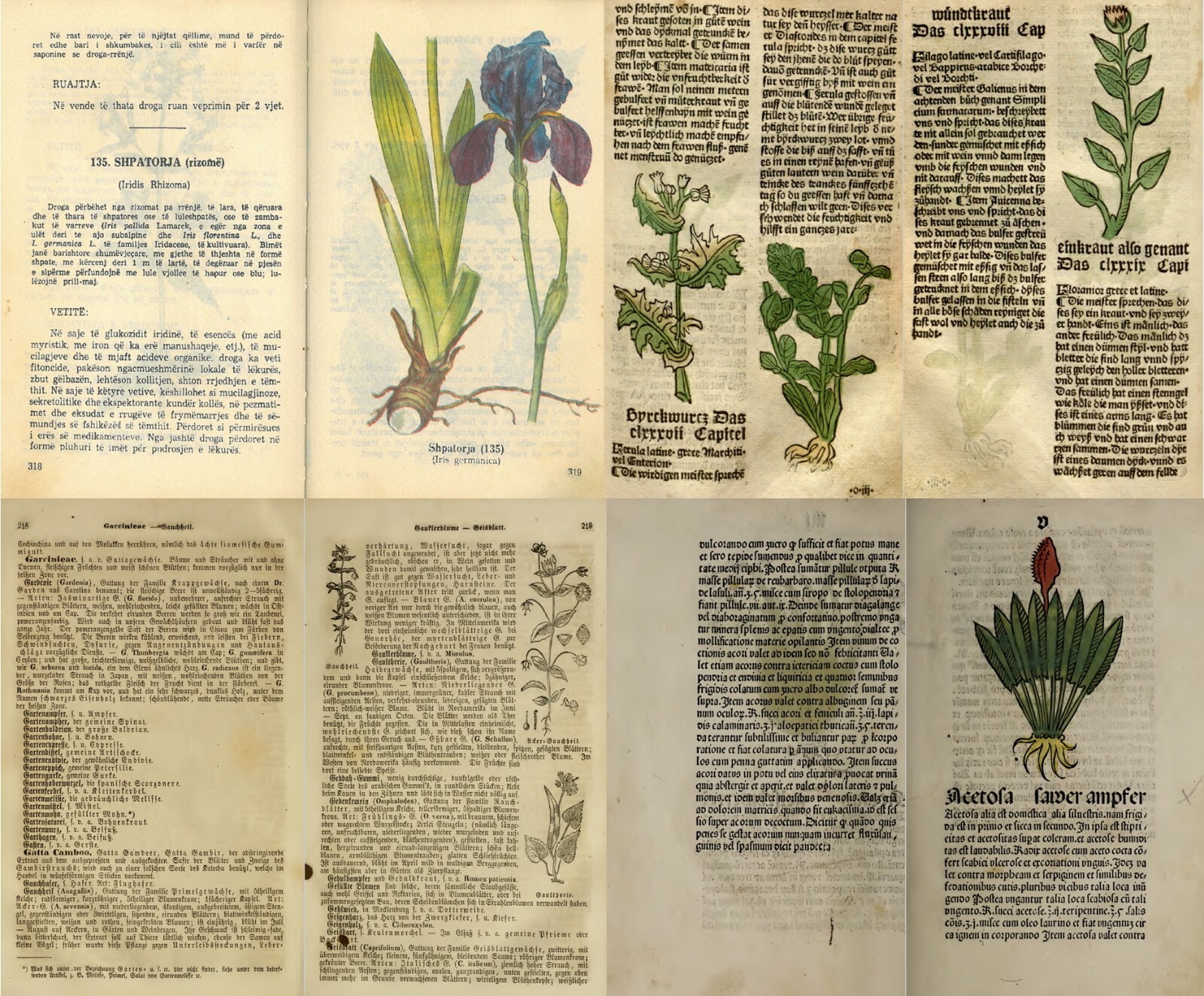 61 Most Old Books on Herbs Botany Botanica Plants Herbal Remedy Medicine on DVD
