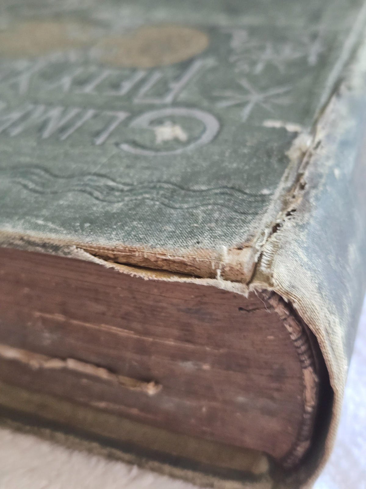 Antique Victorian 1889 Ornate Embossed Gilded Book GLIMPSES OF FIFTY YEARS