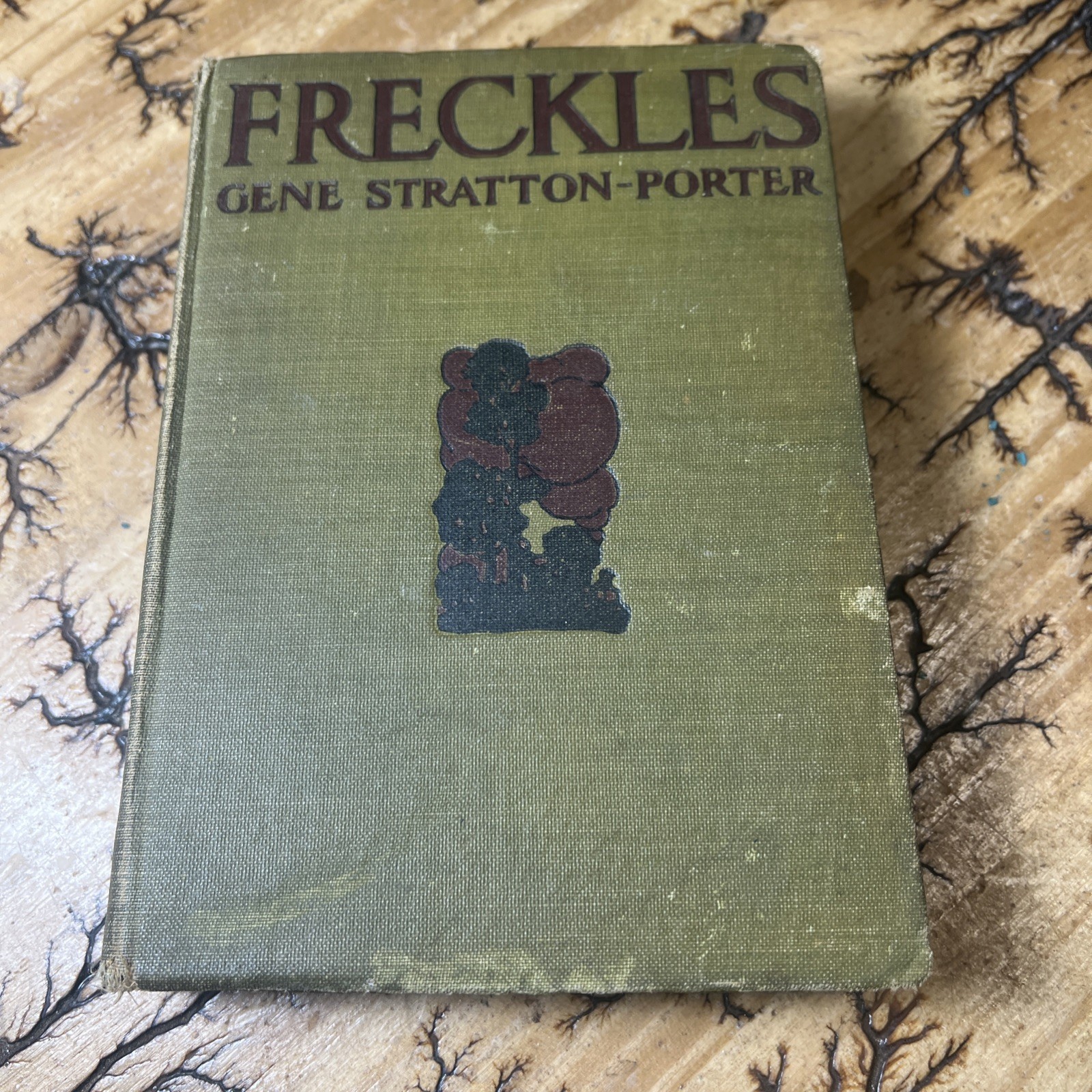 Freckles Gene Stratton Porter 1904 Vintage Antique 1st Edition for Young Adults