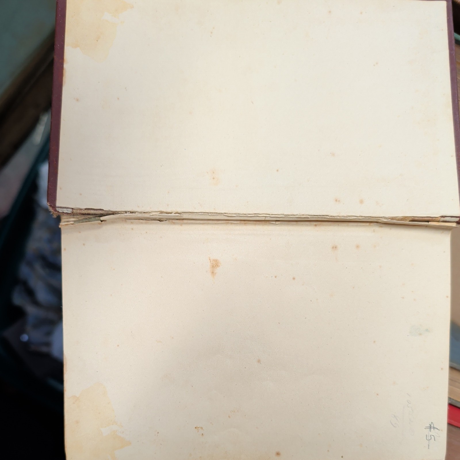 The Appledore Cookbook Practical Receipts 1880 Hardcover Vintage Rare Antique