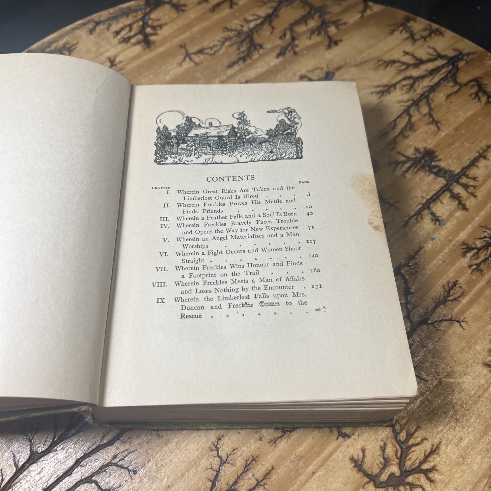 Freckles Gene Stratton Porter 1904 Vintage Antique 1st Edition for Young Adults