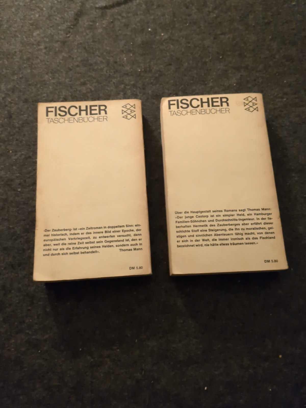 Thomas Mann Der Zauberer Roman book 1 & 2 German text (W)
