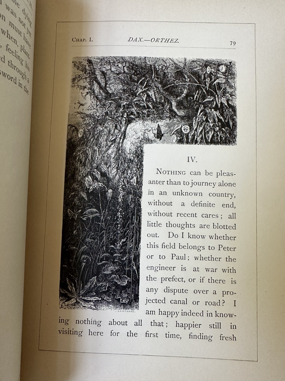 Hippolyte TAINE & Gustave DORÉ / Tour Through the Pyrenees 1st Edition 1874 HOLT