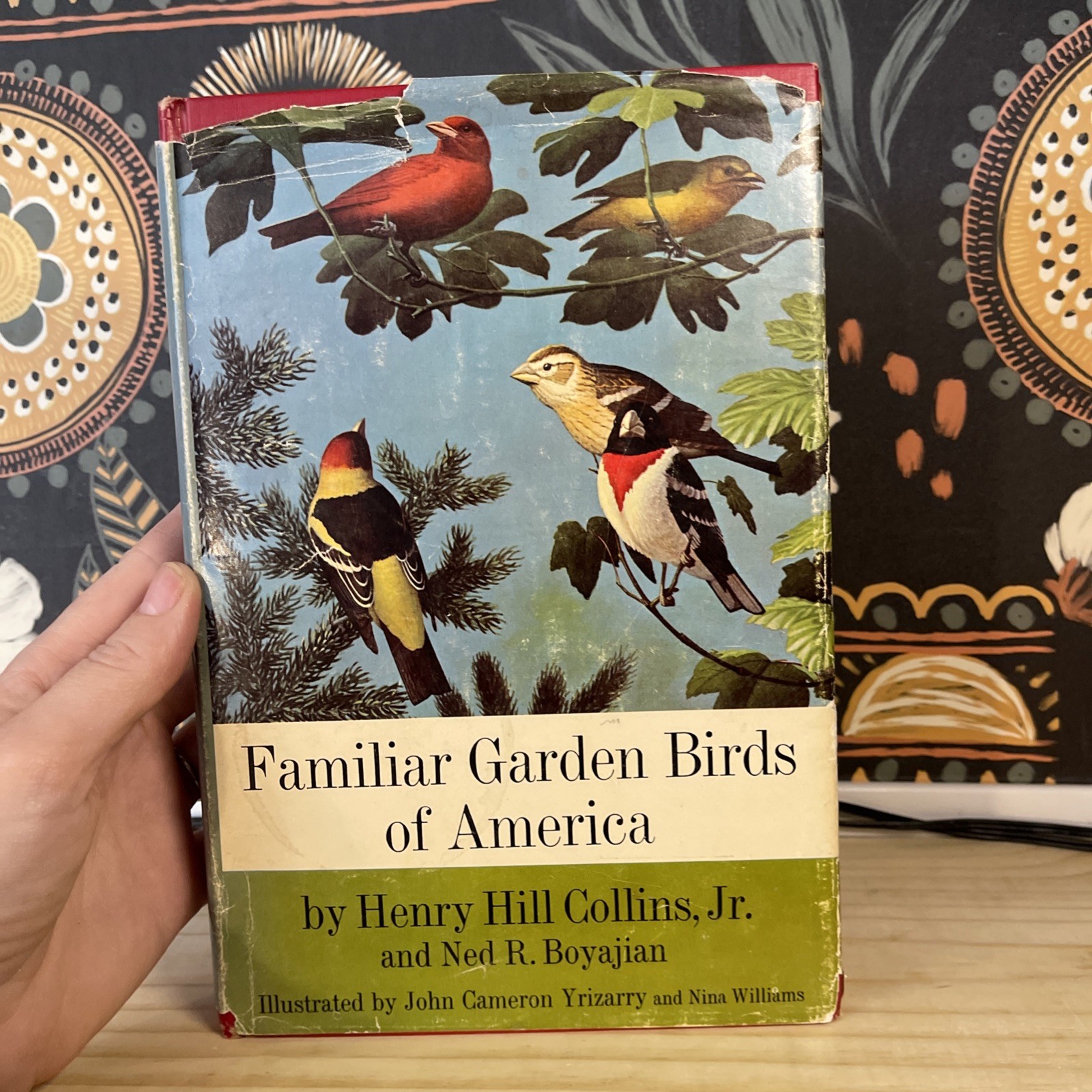 1965 Familiar Garden Birds of America – Collins & Boyajian – Vintage Harper & Ro