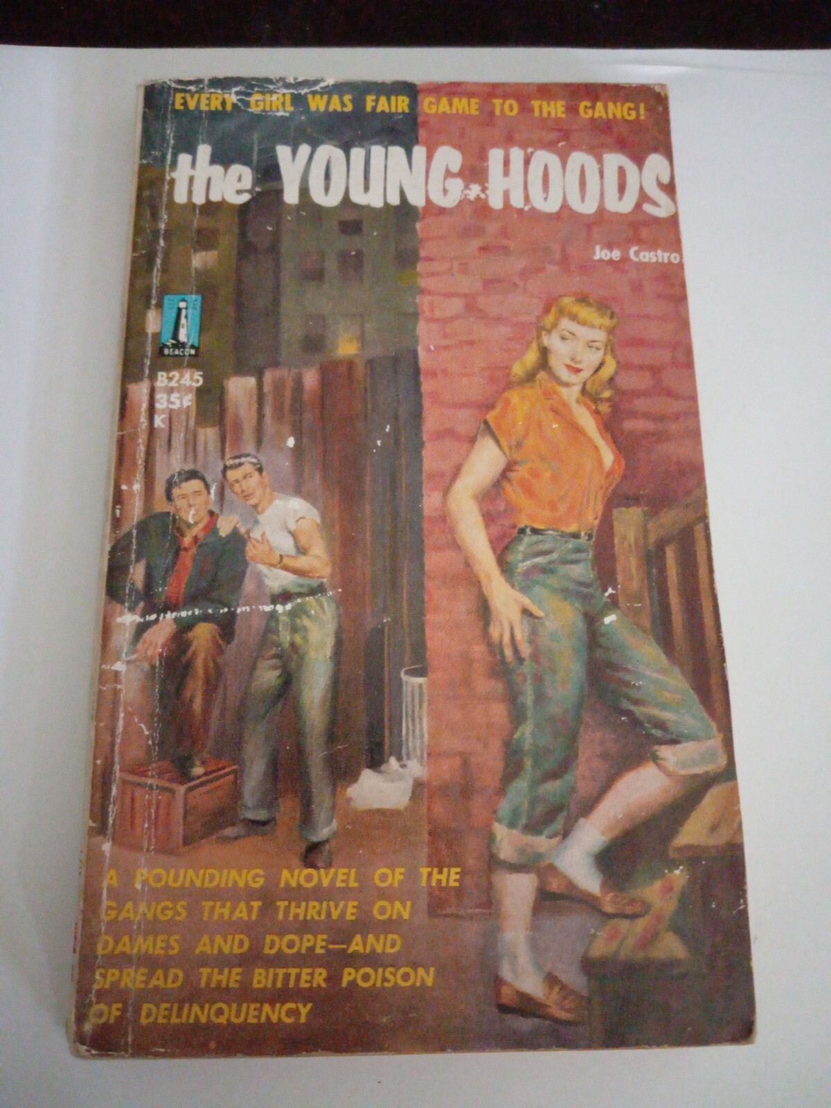 Joe Castro The Young Hoods Erotica Adults Only Vintage paperback 1959
