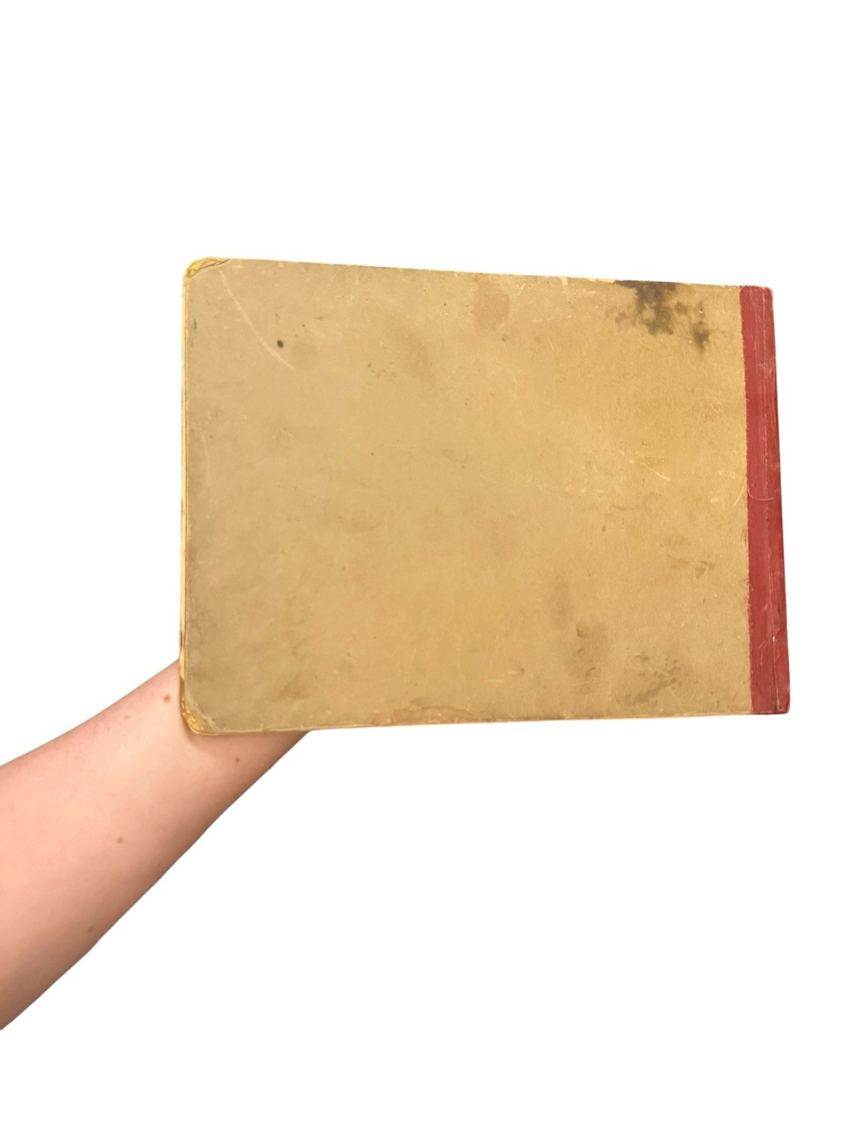 Antique German Board Book Chromolithograph 1900s
