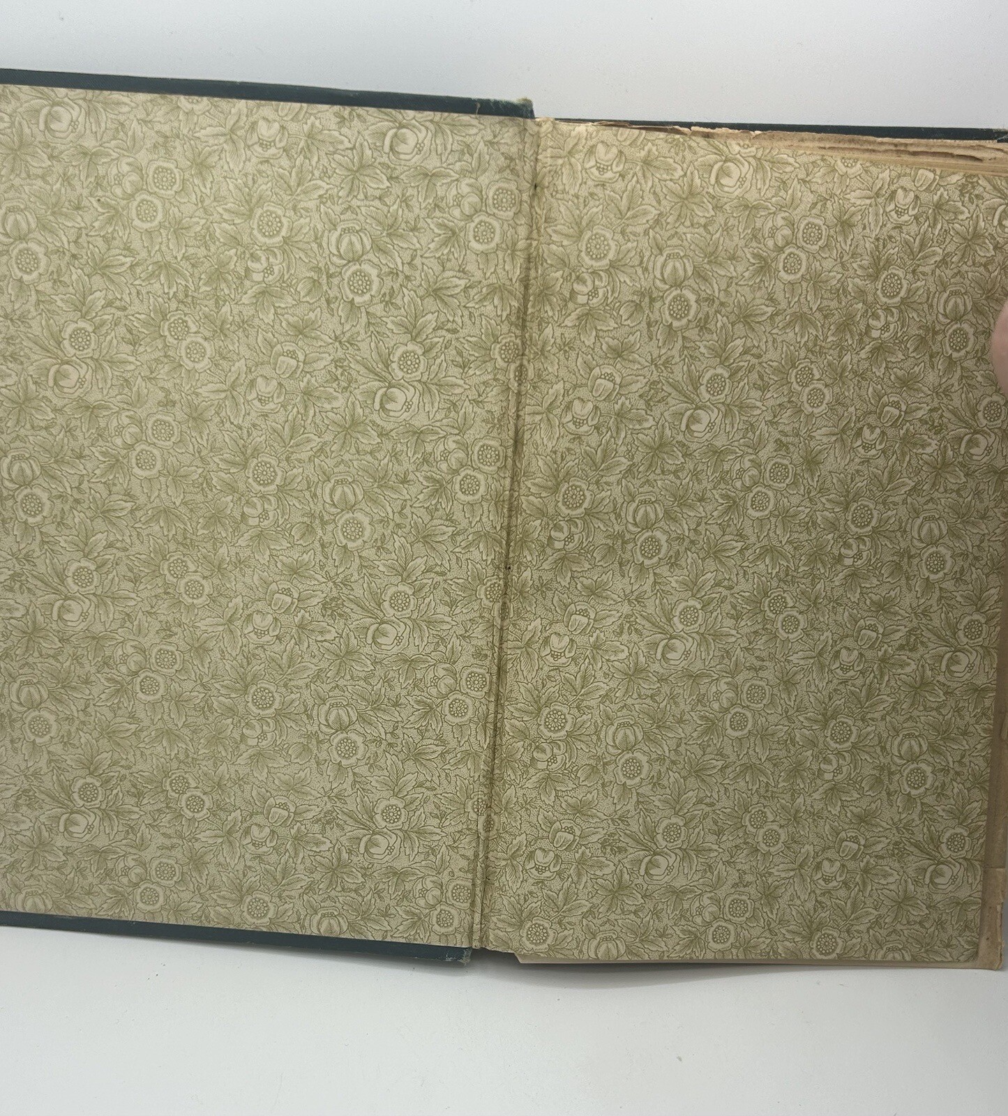 Juvenile story Book – 1886