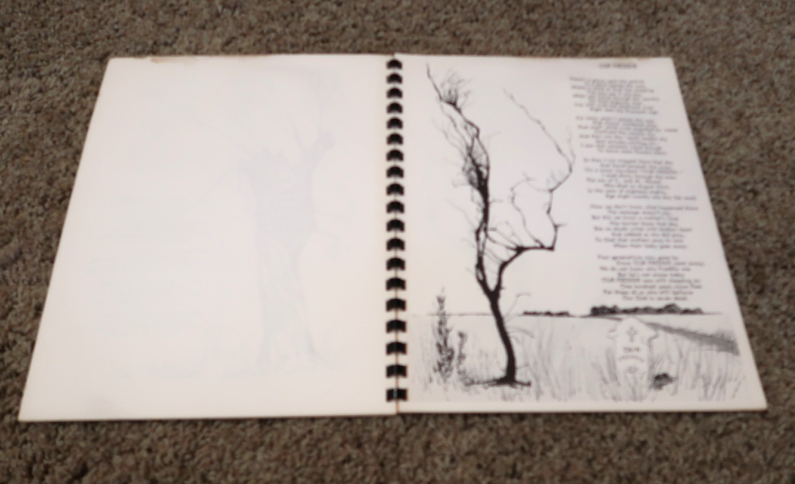 A Forest of Poems by Chambers 🔴 spiral bound book illustrated Vintage 1970