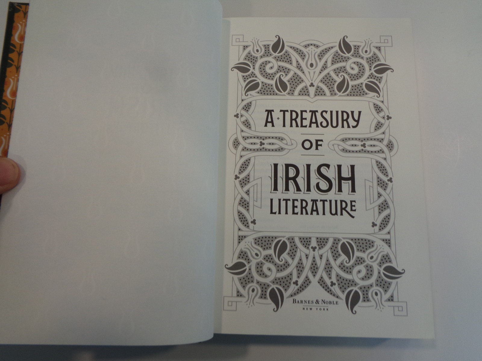 A Treasury of Irish Literature (Barnes & Noble Omnibus Leatherbound Classics) VG
