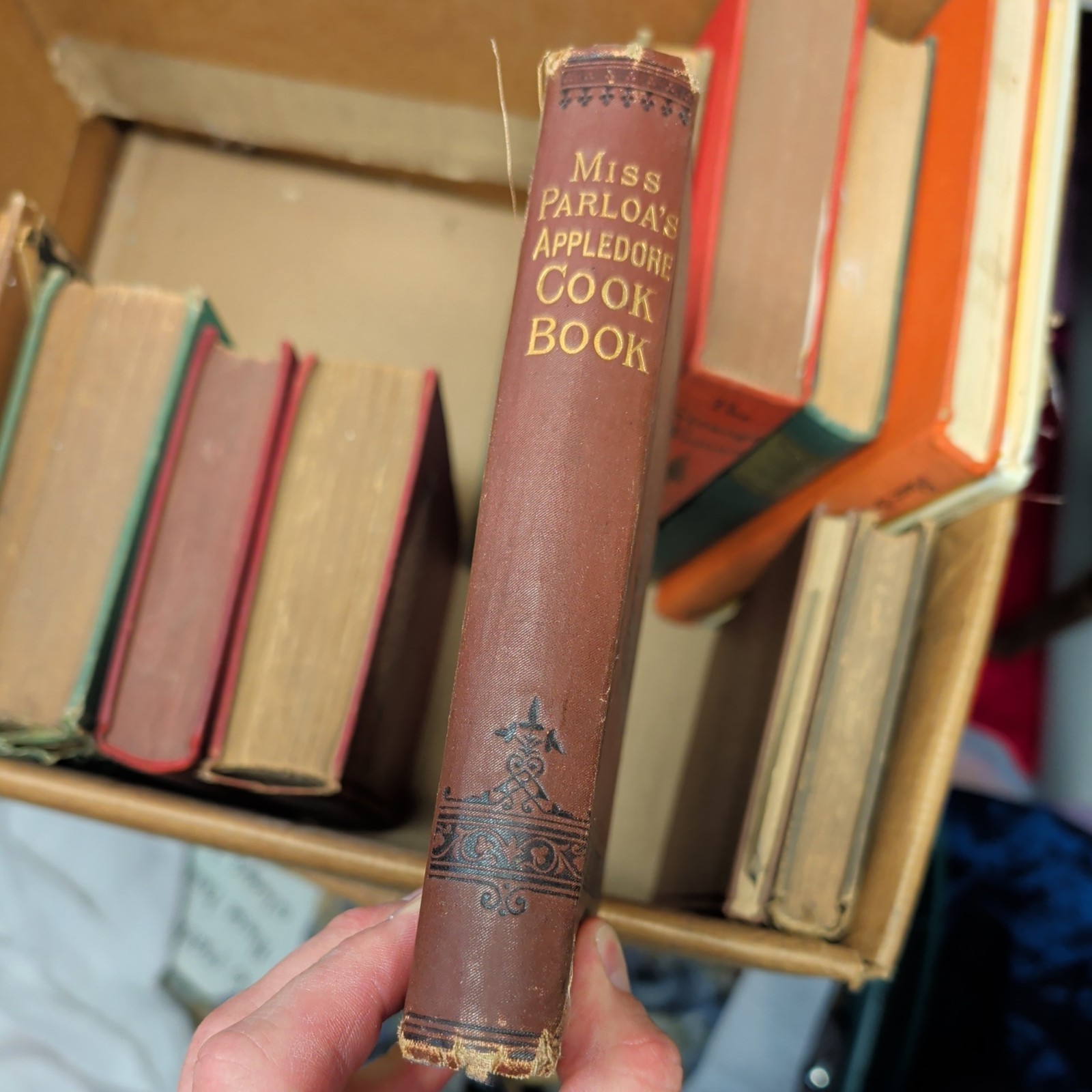 The Appledore Cookbook Practical Receipts 1880 Hardcover Vintage Rare Antique