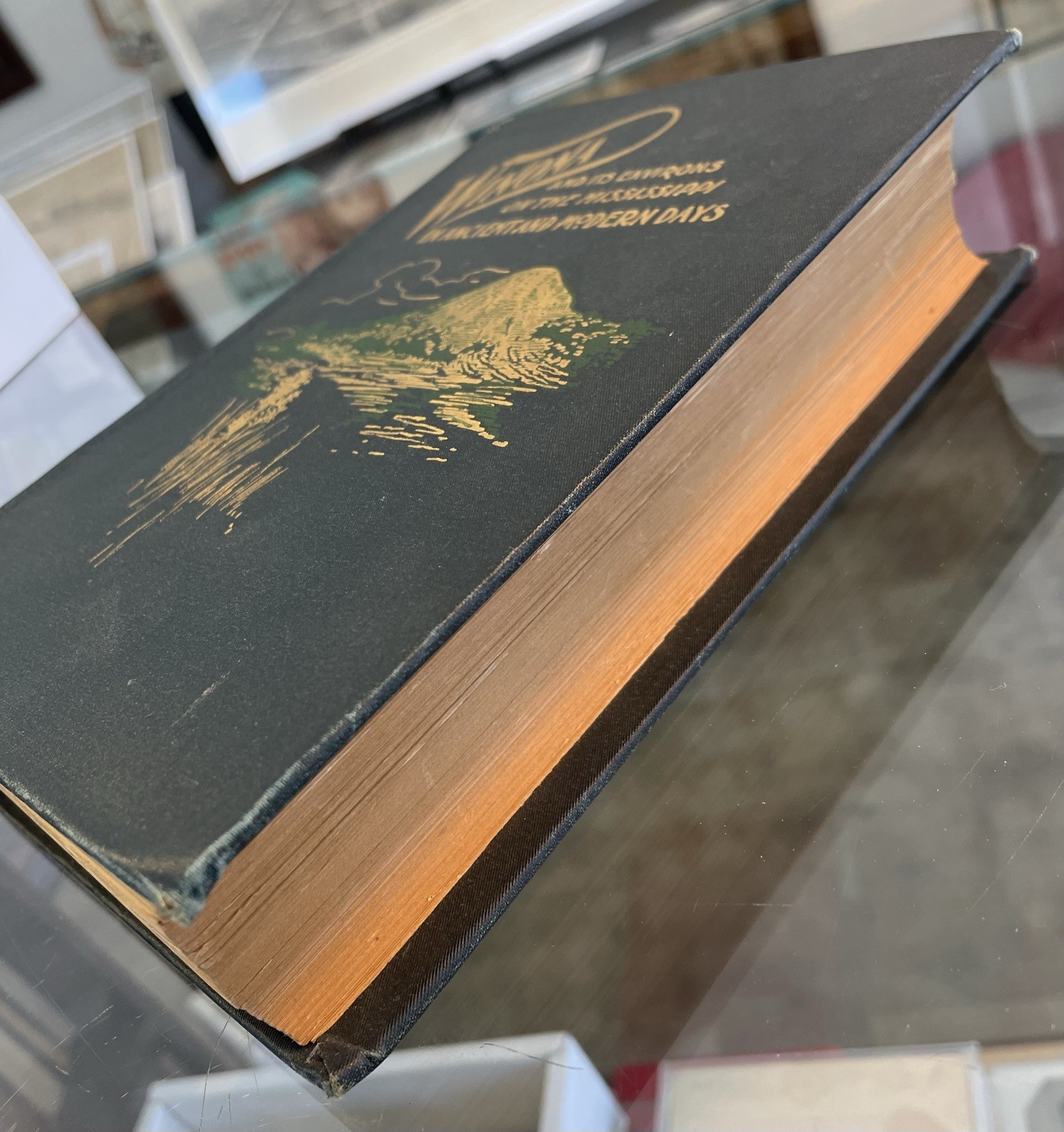 Bunnell Signed Inscribed 1st Edition Winona And It’s Environs On The Mississippi