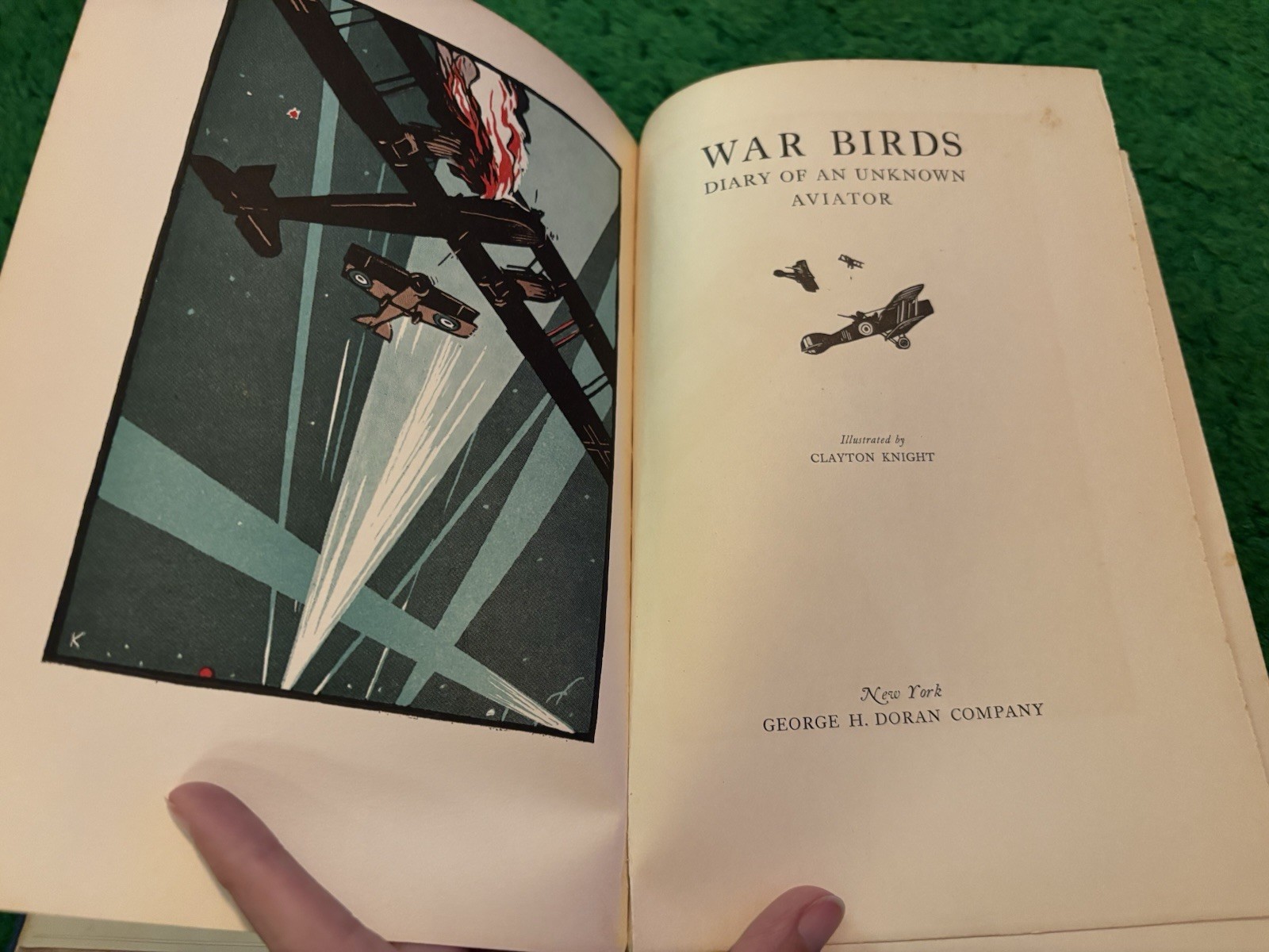 War Birds: Diary of an Unknown Aviator – 1926 – WWI Fighter Pilot US RAF Book