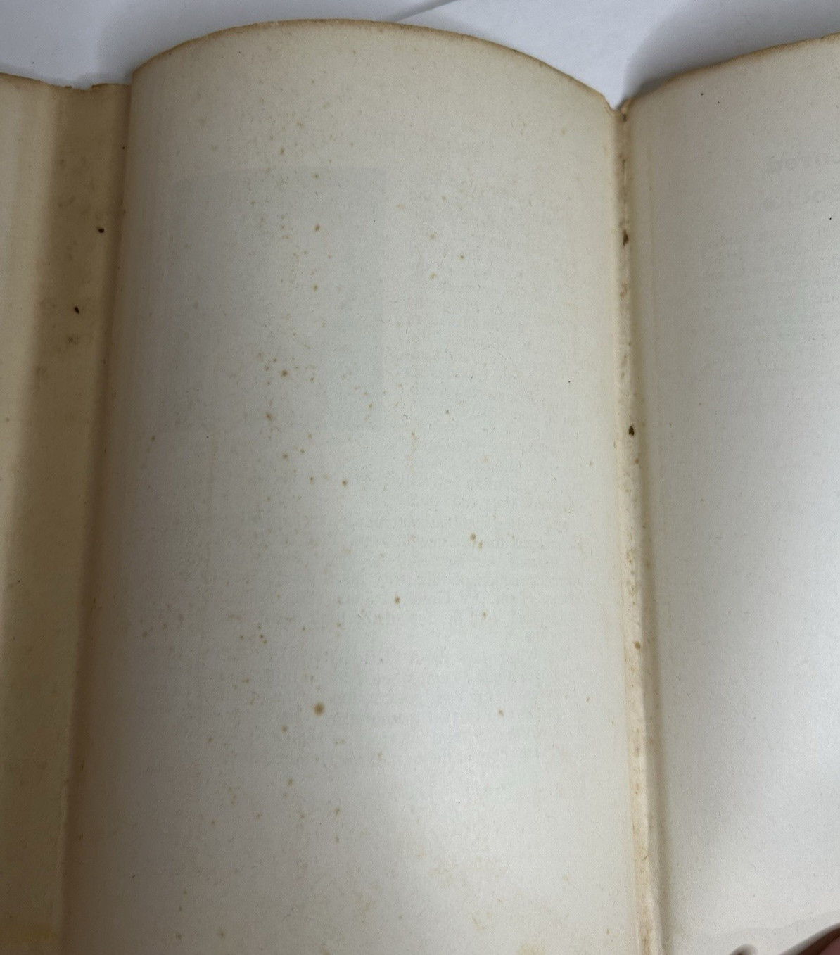 The Hundred Steps by Holly Wilson 1958, Hardcover w/ Dustjacket
