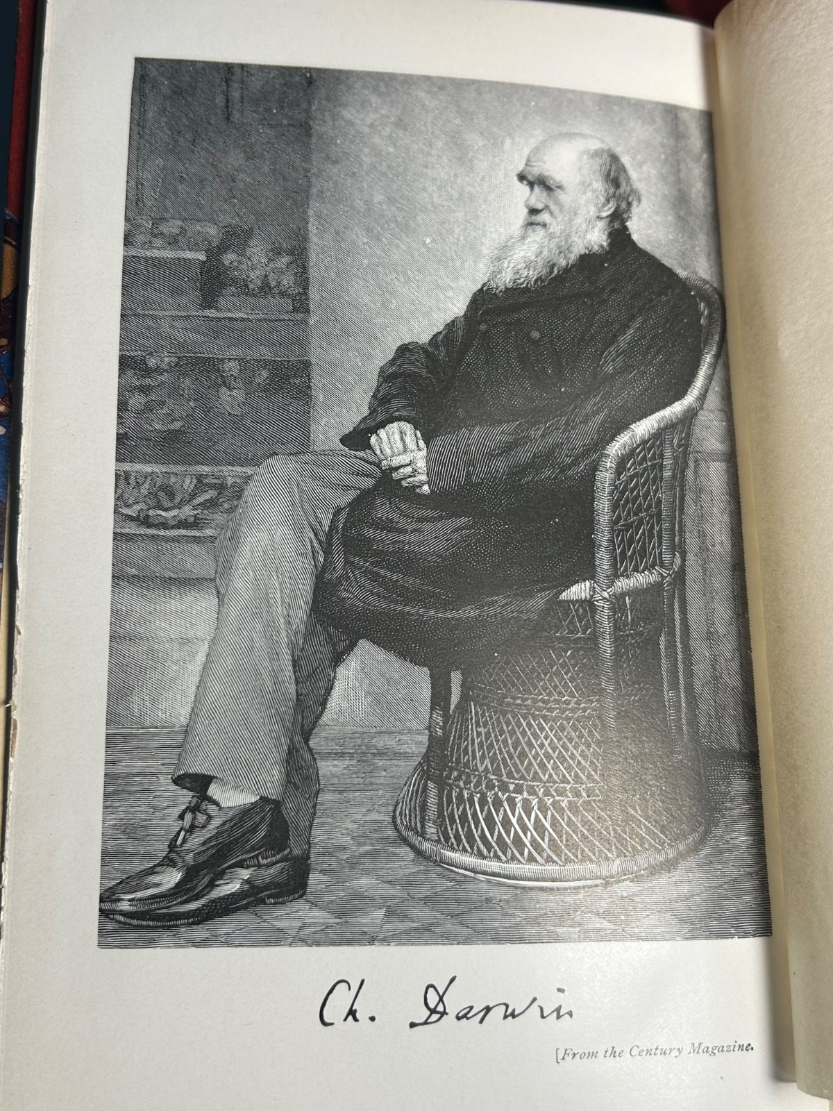 Charles Darwin The Origin Of Species, First Authorized Volume Edition 1896