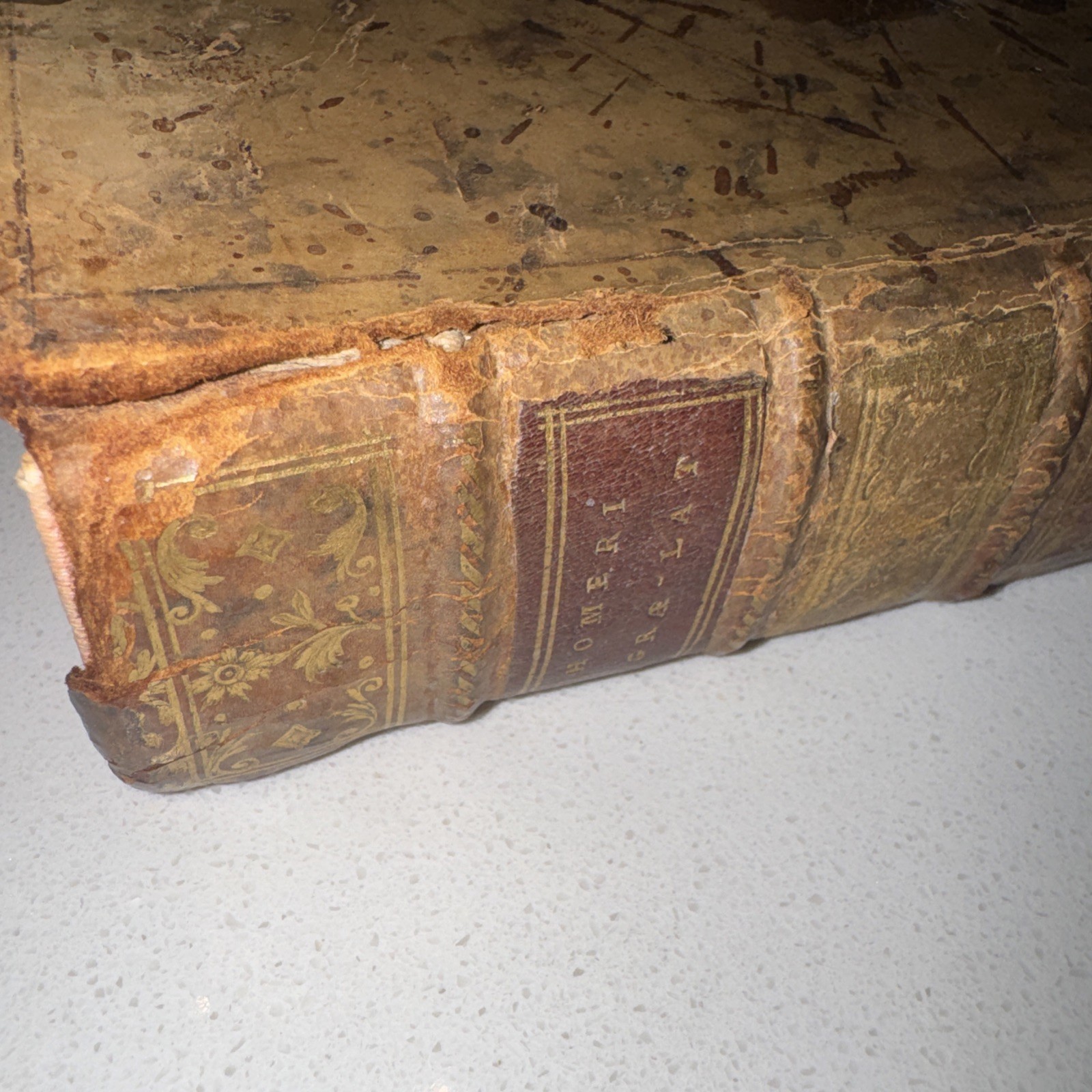 Antique Homer Opera Latin Edition Book Dated 1744