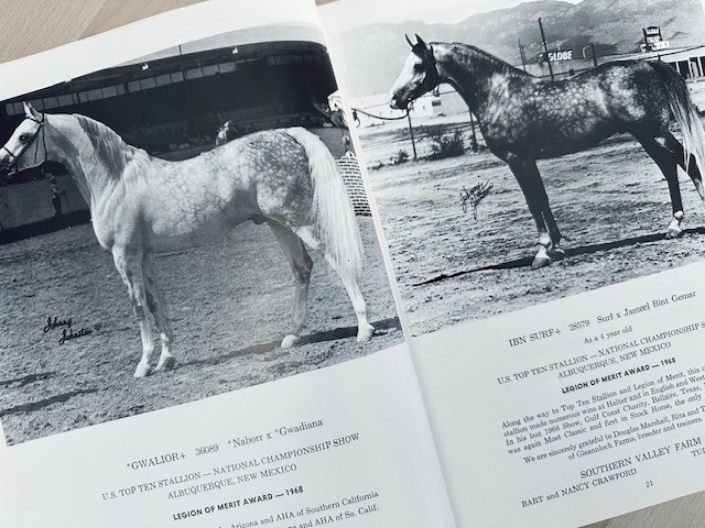 Arabian Horse Yearbook 1968 IAHA Vol XVl Arabian Horse Books / Memorabilia
