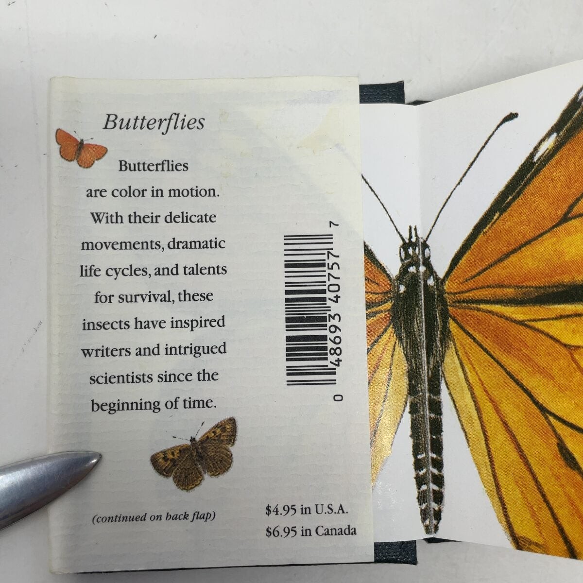 Butterflies by Running Press HC First Edition Like New 2000