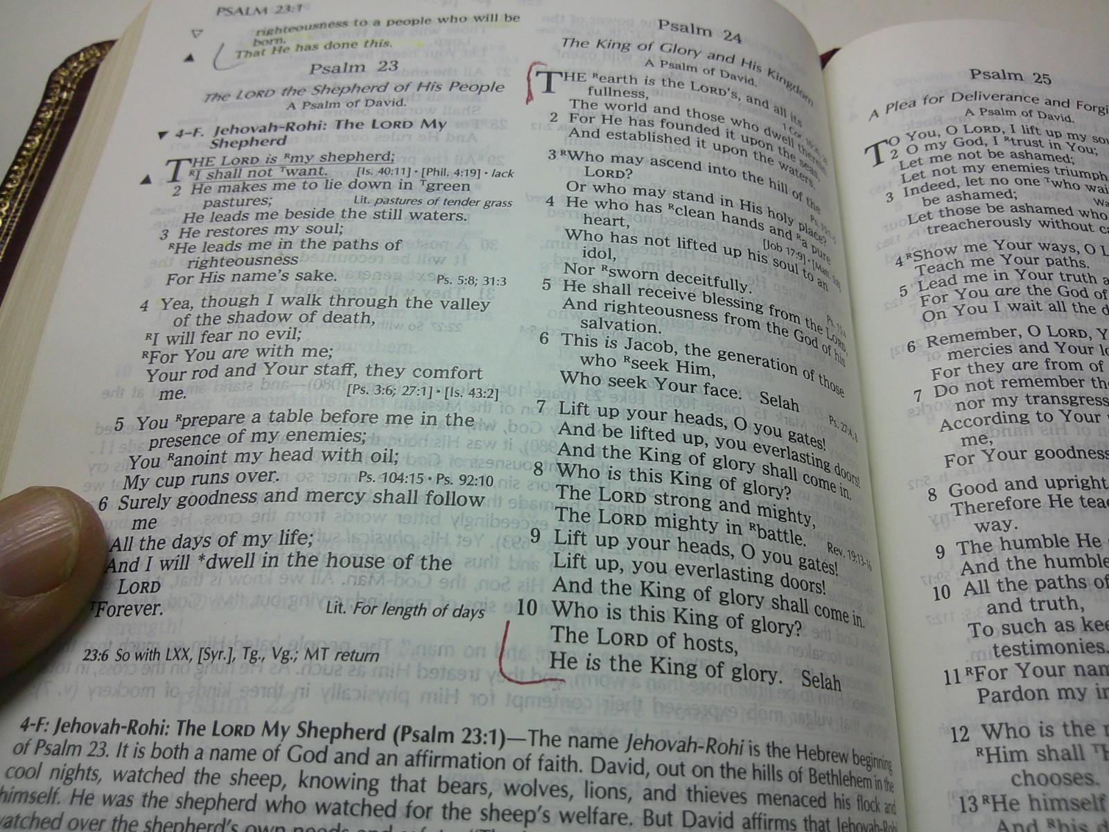 HOLY BIBLE CHRISTIAN LIFE EDITION NELSON NKJV 636BG 1985 GENUINE LEATHER NICE