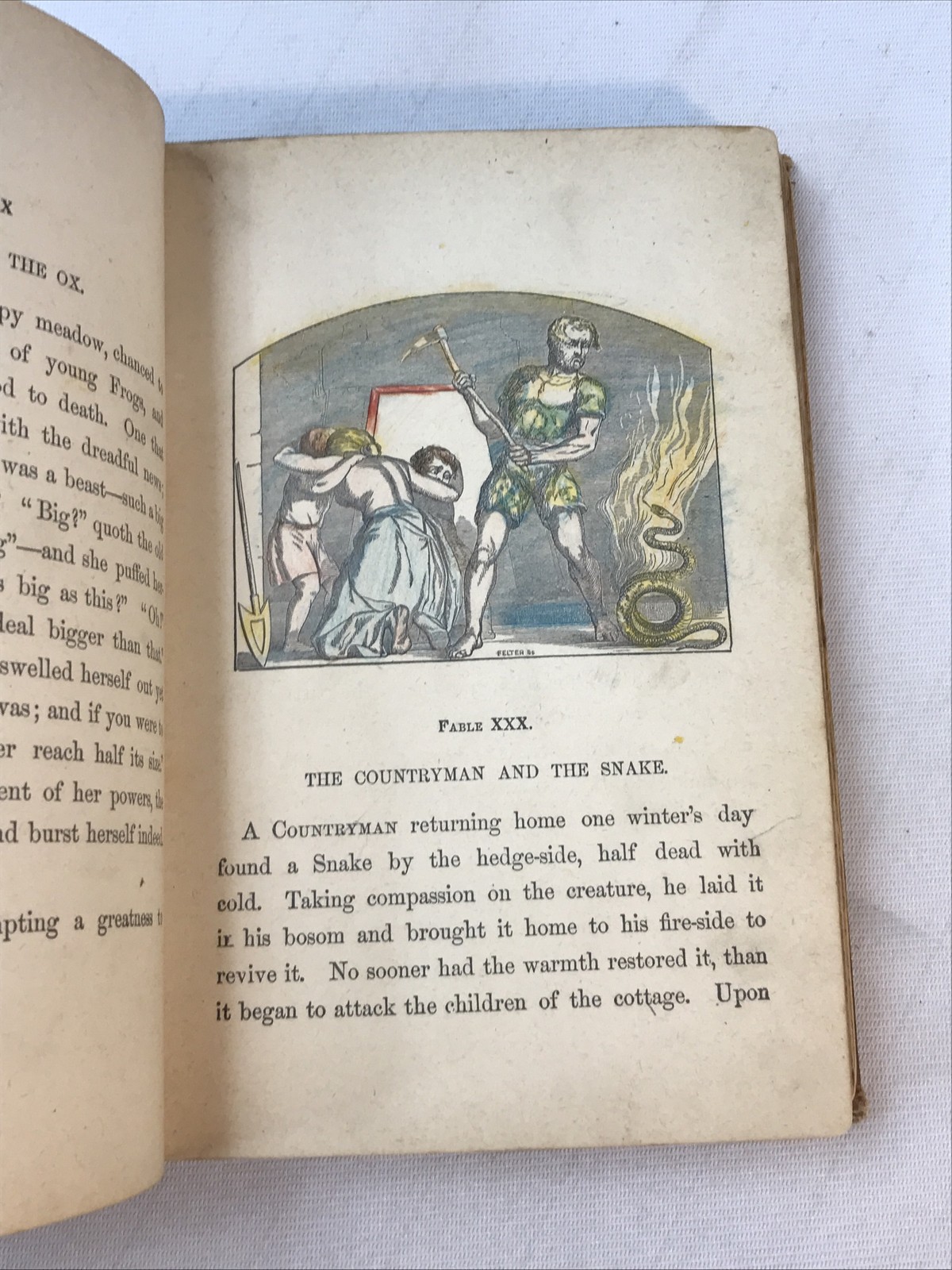 Antique Aesop Fables Illustrated 50+ Detailed Woodcuts 224 Pages Thomas James
