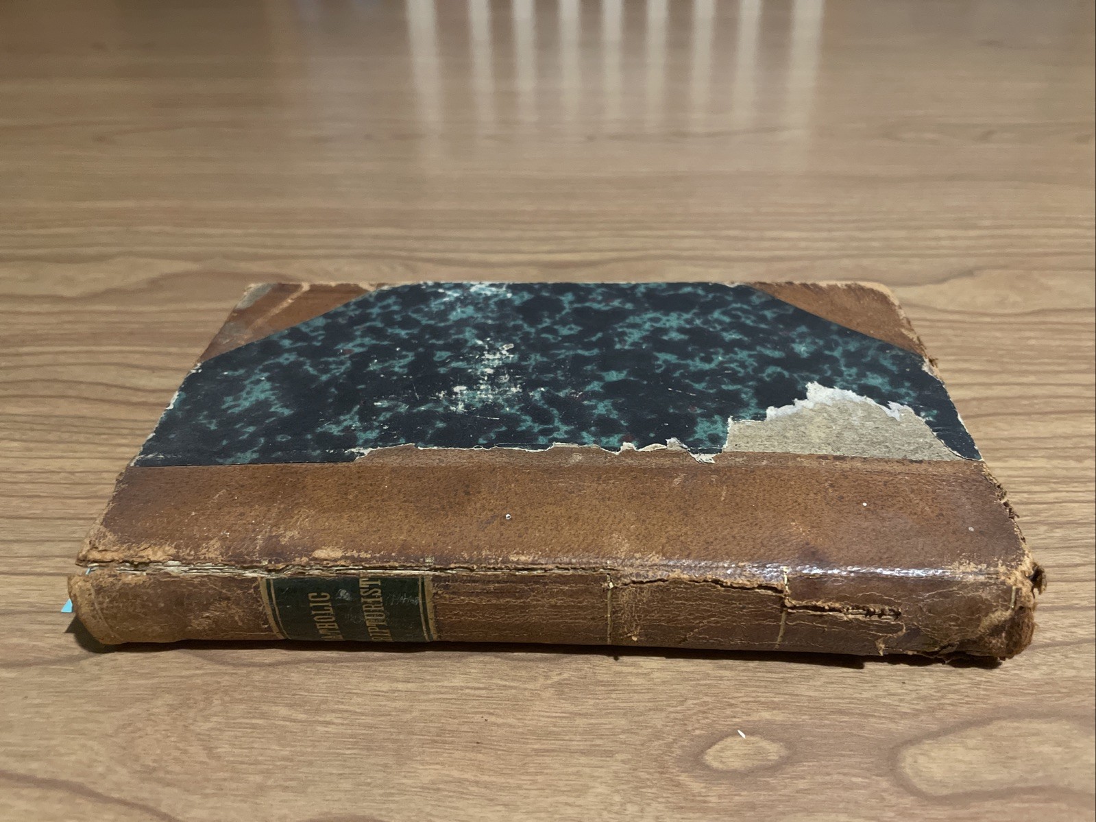 The Catholic Scripturist; or, The Plea of the Roman Catholics; Baltimore 1809