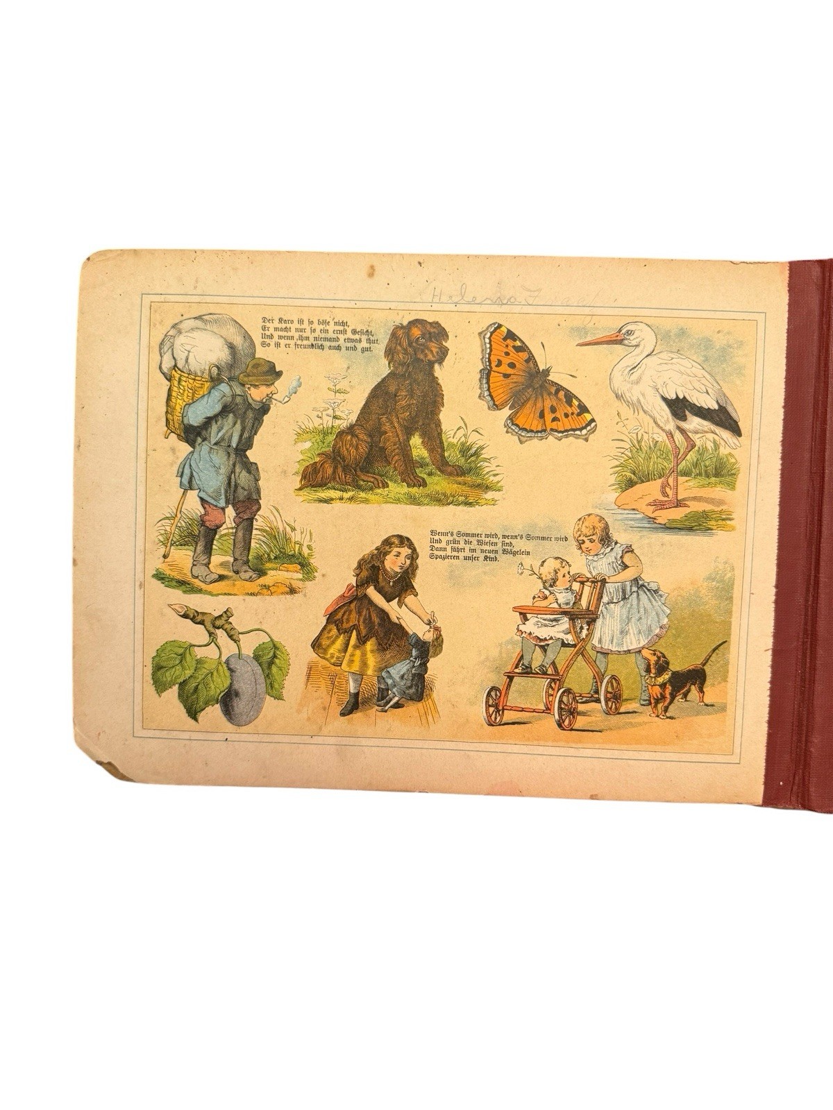 Antique German Board Book Chromolithograph 1900s