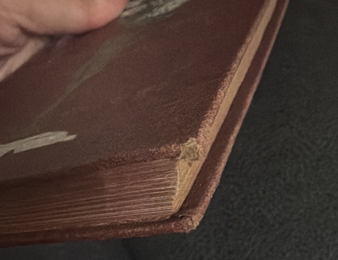 1914 The Photo-Drama of Creation Hardcover Book