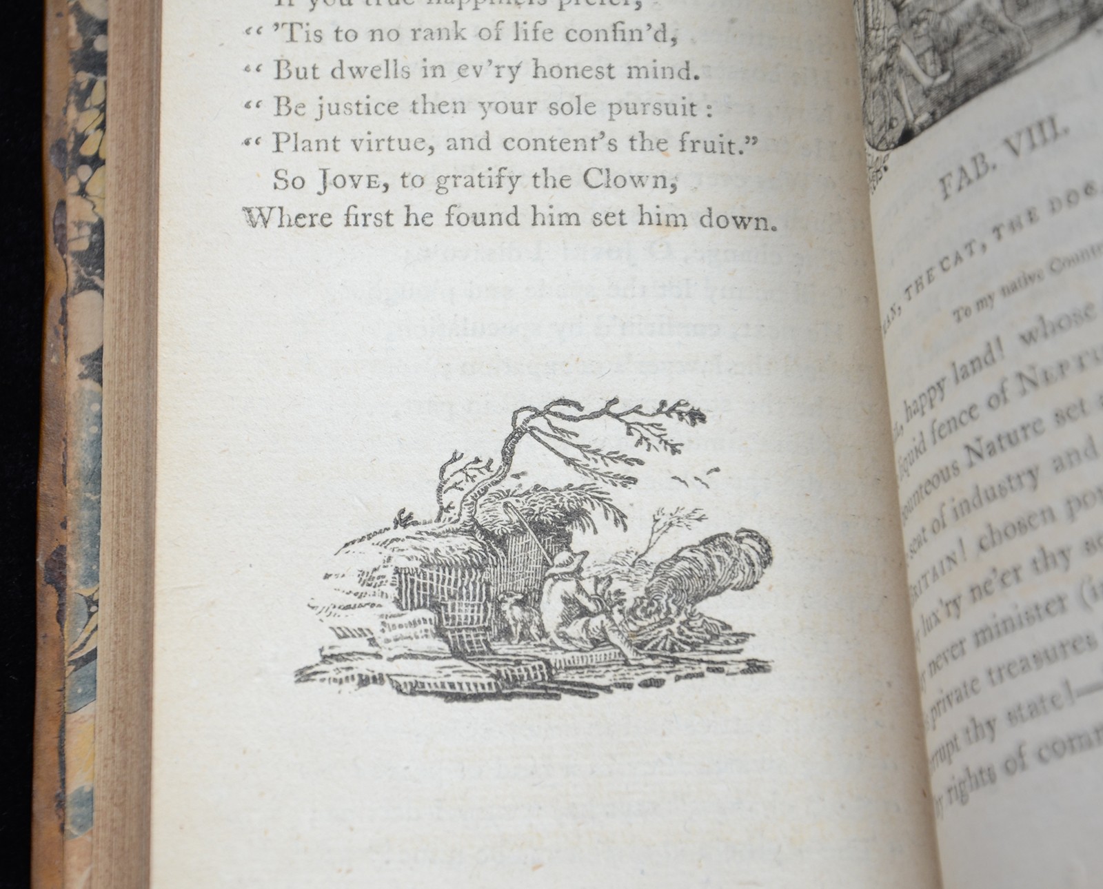 Antiquarian Book-WOOD ENGRAVING-FABLES OF MR. JOHN GAY-Bewick-Gay-1797