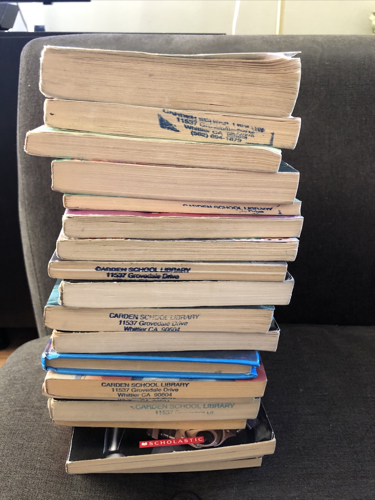 Lot of 20 Chapter Children Young YOUTH RANDOM UNSORTED BOOKS MIX Exlib #8