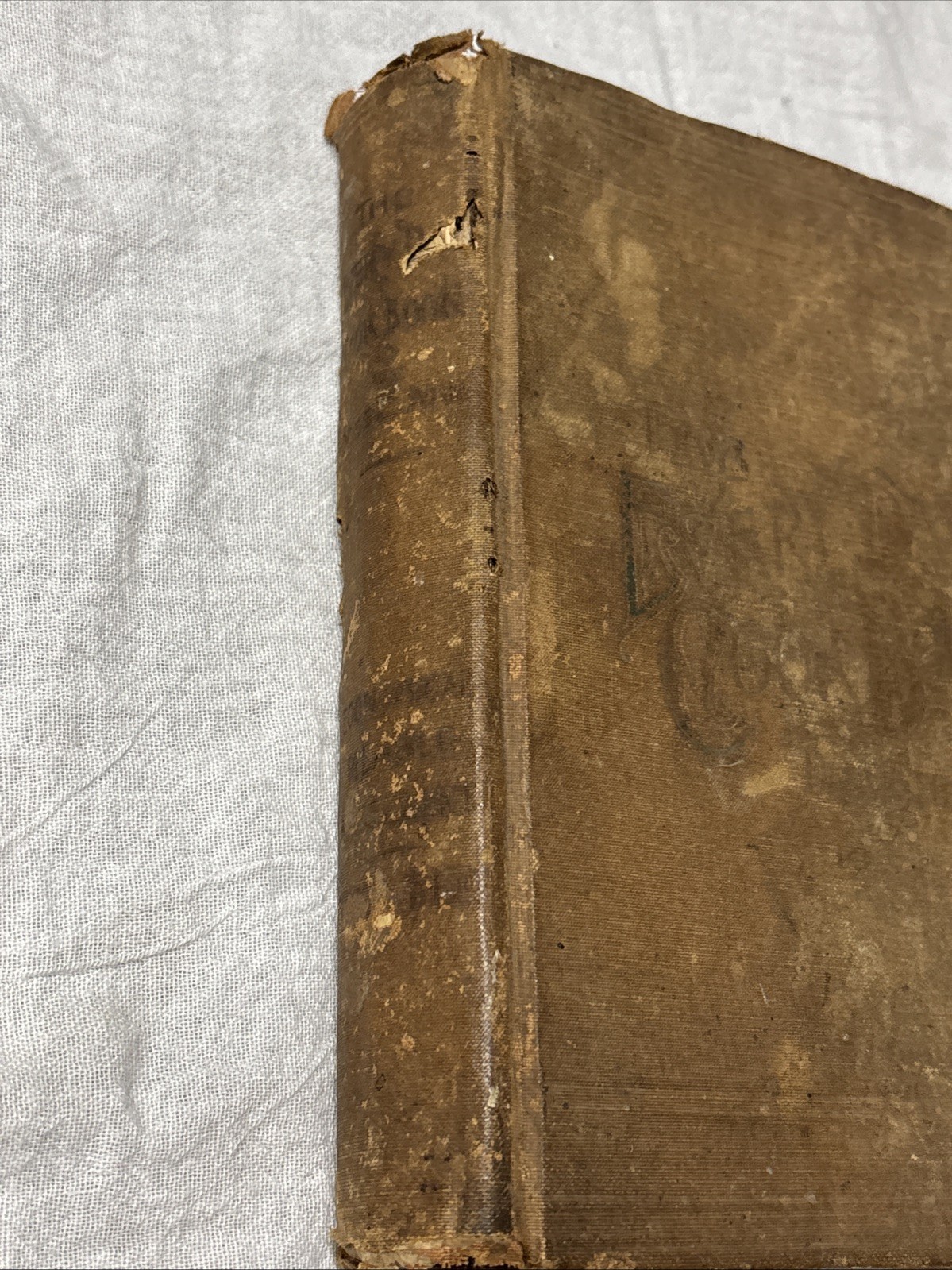 1892 Antique Cook Book Everyday Cookbook Illustrated Miss E Neil