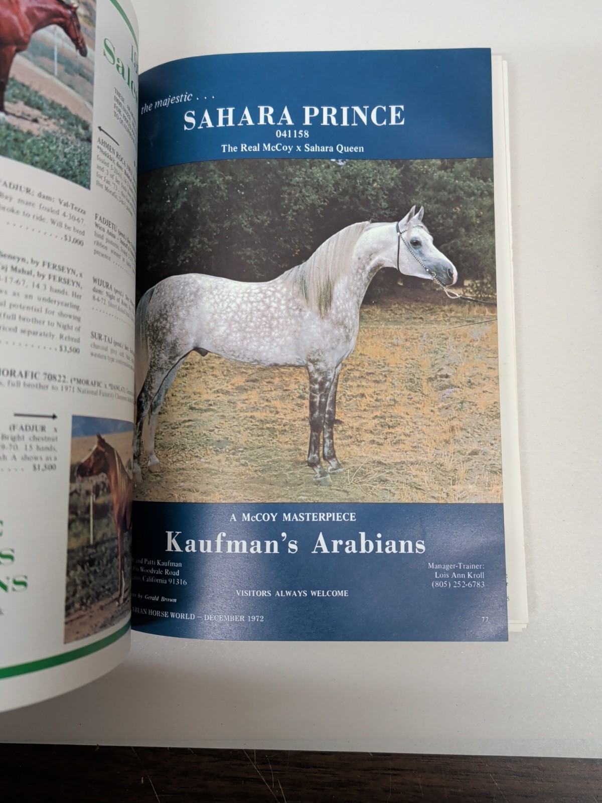 The Arabian Horse World Magazine December 1972 Vol 13 No 3