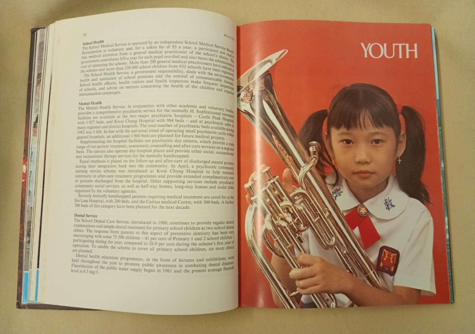 Hong Kong 1983: A Review of 1982 Ed. Melinda J Parsons Hardback
