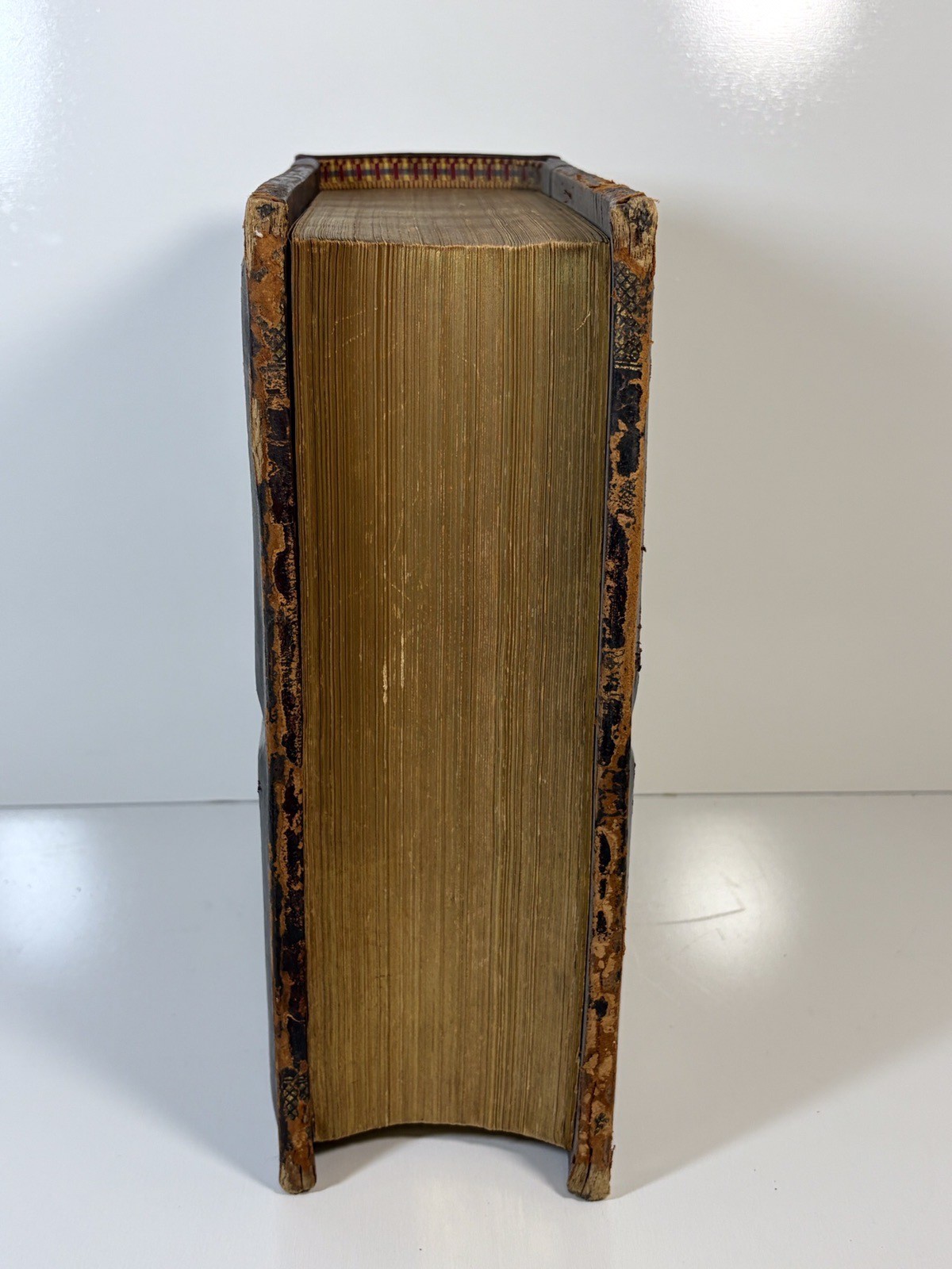 Antique 1889 Swedish Bible Den Heliga Skrift by Melin & Doré Illus Vansant
