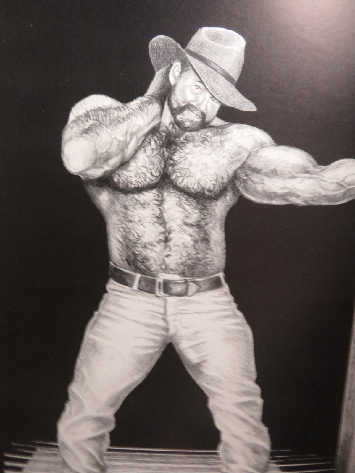 BEARS, BEASTS & MASCULINE BEAUTIES THE EROTIC ART DaDe/URSUS BOOK BRUSH CREEK