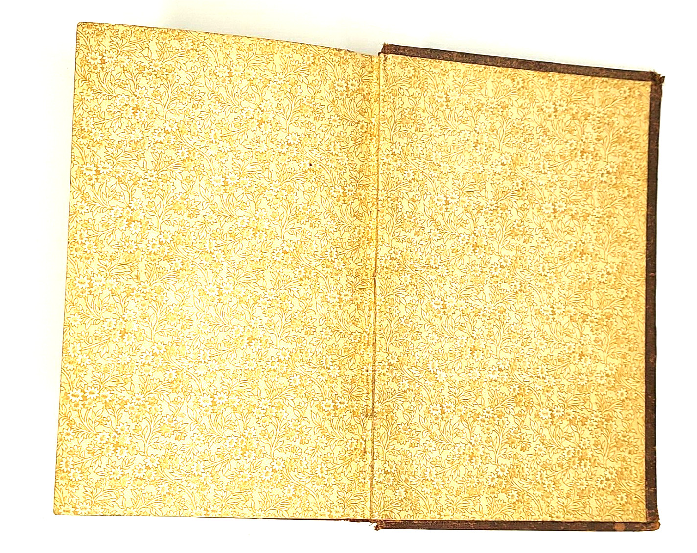 Christ in His Church History of the Catholic Church 1881 Benziger Bros. Antique